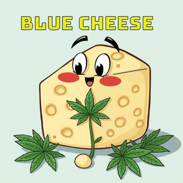 Blue Cheese Terpenes